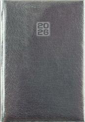 Dayliner Naptár, tervező, A5, heti, DAYLINER, Mirror, ezüst