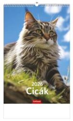 TopTimer Naptár, fali, TOPTIMER, Cicák