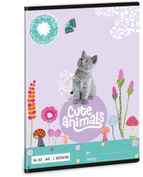 Ars Una Cute Animals-Kitten 24 (5368) A5 16-32 2. osztályos vonalas füzet (53593689)