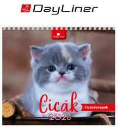 DAYLINER Naptár, asztali, álló, DAYLINER Cicák
