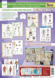 STIEFEL Tanulói munkalap csomag, 5 munkalap, 1 alátét, filc, STIEFEL Biológia