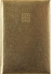 Dayliner Naptár, tervező, B6, heti, DAYLINER, Mirror, arany