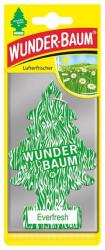 Wunder-Baum Odorizant Auto Everfresh, Wunder-Baum (MDR-7002)
