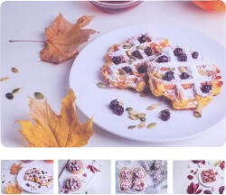  Family tányéralátét PP 435X285MM 4F