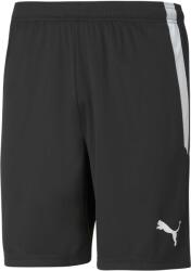 PUMA Team Liga Shorts (70492403)