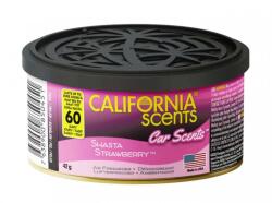 California Scents Odorizant conserva CALIFORNIA SCENTS Shasta Strawberry 42g (34-012)