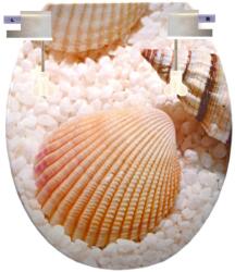 NewHome WC tető kagyló mintás | P-B (p-b)