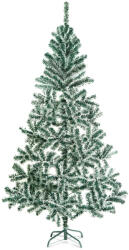 Family Collection 56484D