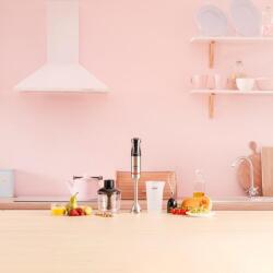 Solac Pro Chef 1501 BA5618