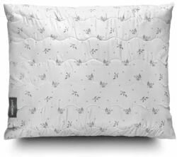 John Cotton MayTime 70 × 90 cm, kettő