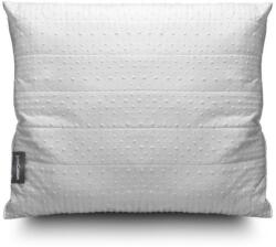 John Cotton Párna BUBBLES 70x90 cm (WPP50-MFA1-E2755)