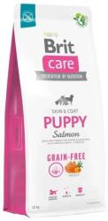 Brit Care Dog Grain-free Puppy Salmon & Potato kutyatáp 1kg (147559)