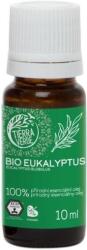 Tierra Verde BIO Eukaliptusz 10 ml