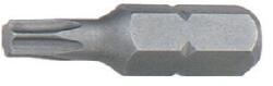  TORX profilú bit, TX 40, L 25, D 1/4' ' , AMB - 1
