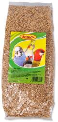 AVICENTRA Ovaz decojit Avicentra 1kg (722-3844) - raijucarii