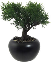 4-Home Mű bonsai Cédrus virágcserépben, zöld, 19 cm