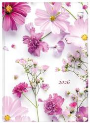 TopTimer Naptár, tervező, B5, heti, TOPTIMER, Joy , pillangóvirág (26T011J-201) - fodicoaruhaz