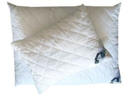 Billerbeck Feelings by Billerbeck Atka Protect Párna garnitúra (nagypárna és kispárna), 70x90 + 36x48 cm