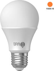  Bec chihlimbar BrainLight, E27, 7 W, 1600 K
