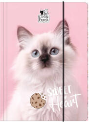 DERFORM Cleo and Frank gumis mappa A/4, CF45, cicás, fehér cica (DFM-TGA4CF45) - officetrade