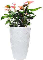 FORM-PLASTIC Kaspó virágtartó | Fehér | 51L (4730-011)