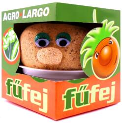 Agro-Largo Fűfej nevelő tálcában