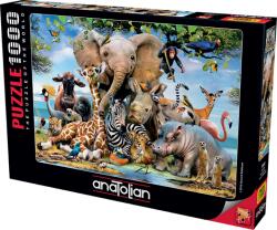 Anatolian Пъзел, Anatolian, Усмивки от Африка, 1000 части (P1043)