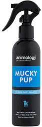 Animology Șampon fără clătire pentru câini Animology Mucky Pup, 250 ml