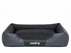 Reedog Pat Grey Perfection