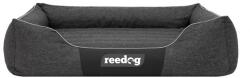 Reedog Pat Comfort Ekolen Negru