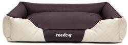 Reedog Pat Reedog Beige Perfection