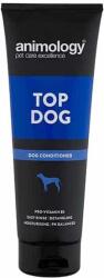 Animology Balsam pentru câini Animology Top Dog, 250 ml