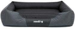 Reedog Pat Tommy Gri