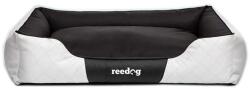 Reedog Pat White Perfection