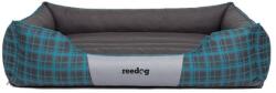 Reedog Pat Reedog Blue Strips