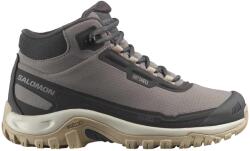 Salomon Обувки shelter wp w