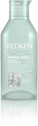 Redken Amino Mint sampon de curatare delicat pentru par gras 300 ml