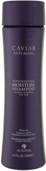 Alterna Haircare Caviar șampon pentru păr uscat 250 ml