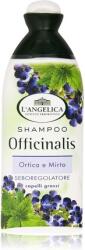 L'Angelica Șampon din plante pentru păr gras cu urzică și mirt 250 ml