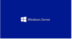 Microsoft Windows Server CAL 2025 ENG (EP2-25261)