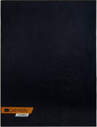 CANYON FM-01
