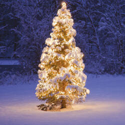  Kültéri toldható fényfüzér, meleg fehér, 100 LED, 10 m (KDK 002)