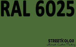StreetKolor RAL 6025 Akril autófesték fényes vagy matt 1 liter + fixáló + hígító (RAL6025AKRYL)