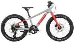 R RAYMON Yanga 20 Pro (2025) Kerékpár