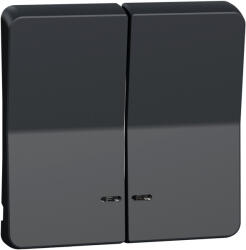 Schneider Electric Mureva Styl - MUR34205 -Kettős billentyű, jelzőfényes, antracitszürke (MUR34205)