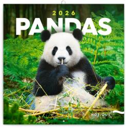 Realsystem Falinaptár képes lemeznaptár 300x300mm, Pandas Realsystem 2027 (6097-PS) - web24