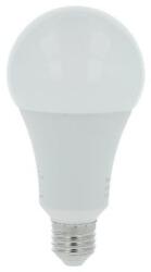 TESLA Tesla LED izzó, E27, 20 W, 230 V, 2500 lm, 6500 K, hideg fehér (BL272065-8) - alza