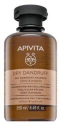 APIVITA Dry Dandruff Shampoo sampon hranitor anti mătreată 250 ml