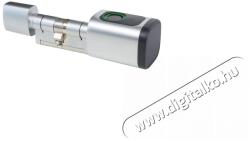  Richter Czech DC. E45/50. NI digitális