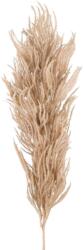  4Living Barna Pampafű Dekoráció - 82 cm